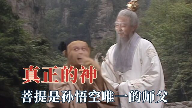 长大才懂菩提祖师才是孙悟空唯一的师父,他才是真正的神爱世人!