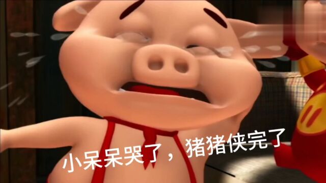 小呆呆太可爱了