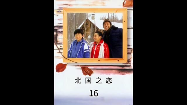 北国之恋《95秘密后篇》#我的观影报告 #日剧解说 #婚姻家庭情感