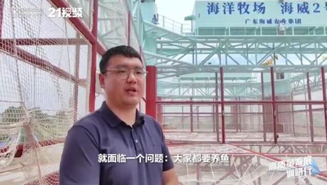 科学“放牧” 向海要“粮”,广东最大海上养殖平台“海威2号”即将下水投产丨高质量发展调研行