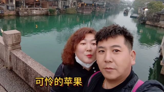 今年如果苹果丰收了就是故事,如果不丰收就是事故