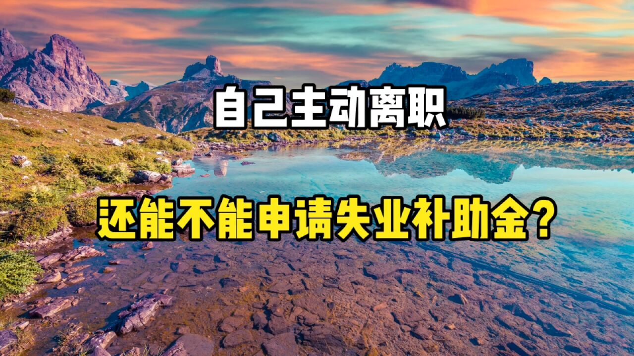 自己主动离职的,还能不能申请失业补助金呢?