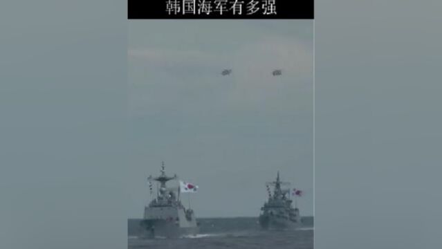 立志要打造亚太第一的韩国海军有多强?