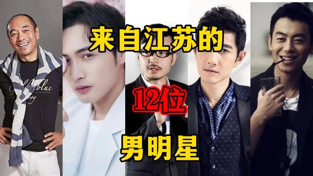 来自江苏的12位男明星