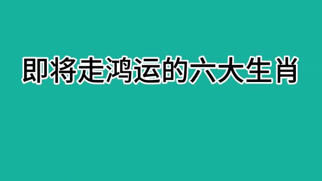 即将走鸿运的六大生肖,你们家都有几个呢?