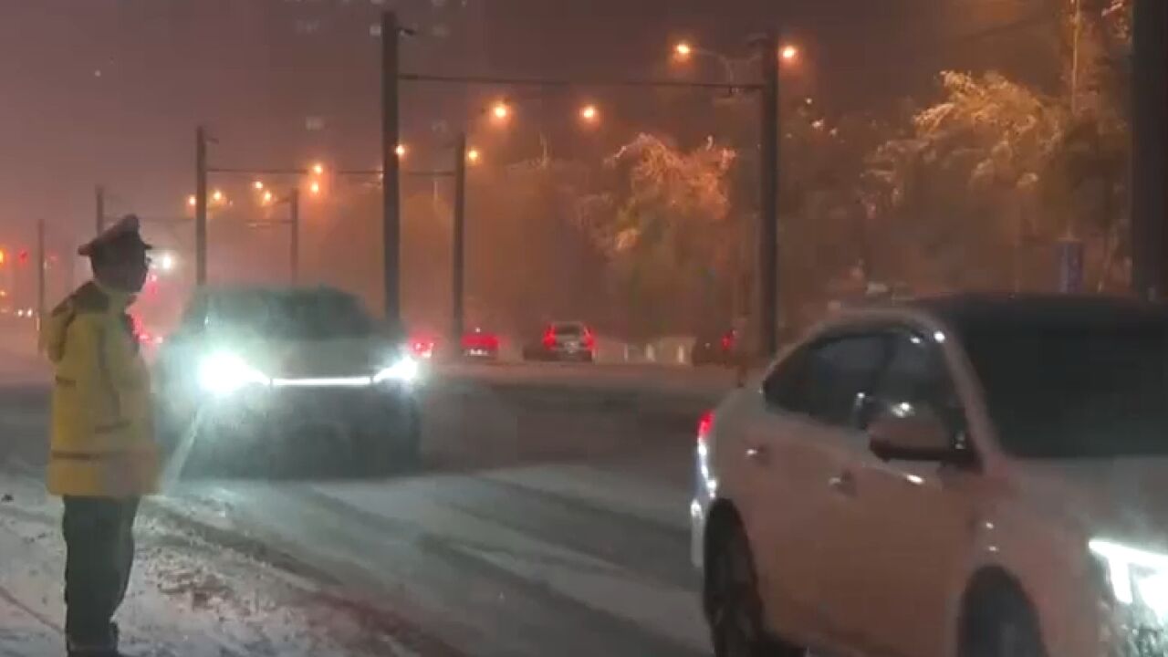 辽宁沈阳:范围广雪量大,多部门配合保障城市生活