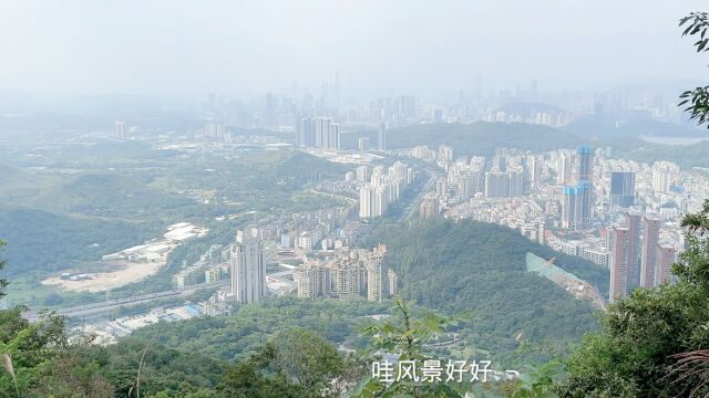 爬深圳梧桐山是一种什么体验?