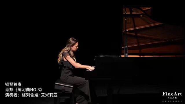 钢琴独奏 肖邦《练习曲No.3》