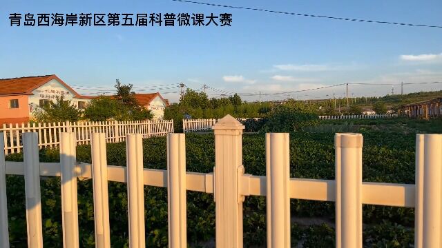 青岛滨海学院+冯吉晓 张自豪 谭子琛 王月豪 李文+《乡村振兴,洋河先行》