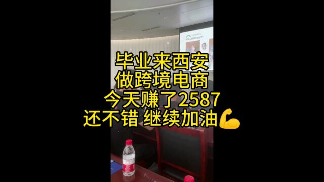 跨境电商 海外带货