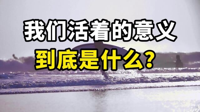 我们活着的意义到底是什么?