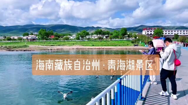 海南藏族自治州 ⷠ青海湖景区