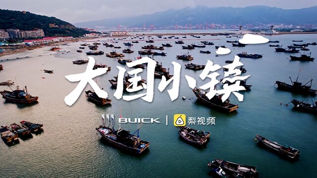 小镇6000账号年带货65亿元,被称为中国海鲜电商第一镇