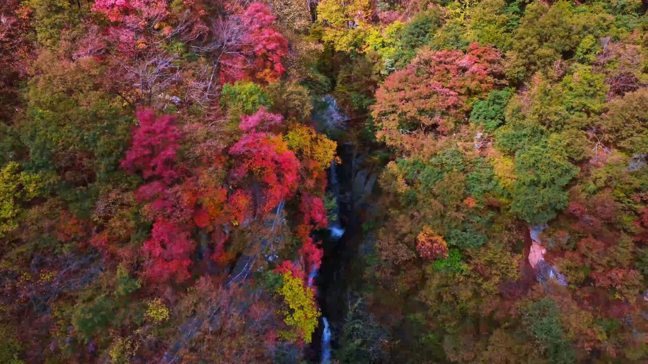 琴鸣剑舞,高山流水,看太平国家森林公园瀑布之下的江湖