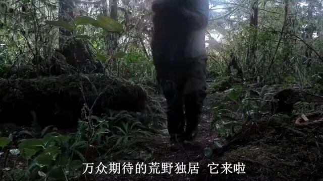 荒野求生第一季第一集