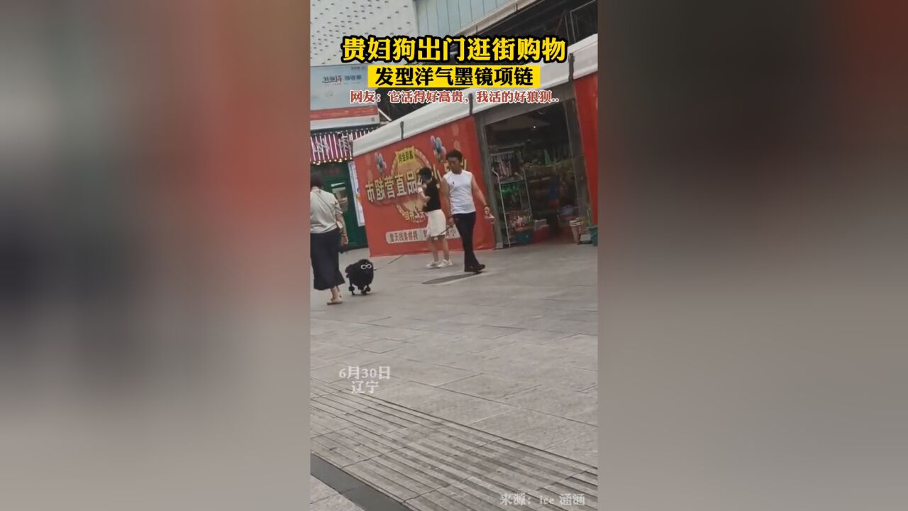 它的主人一定是位成功人士