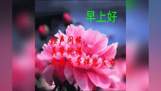 ▶ღ2023早上好表情包,愿你顺心如意,平平安安!