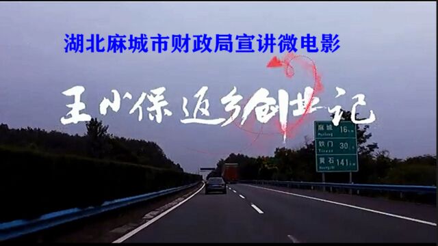 【微电影】湖北麻城市财政局微宣讲《王小保返乡创业记》