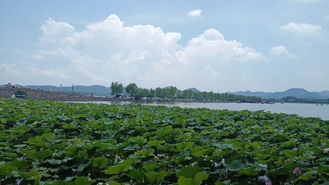 人间天堂.杭州西湖美景