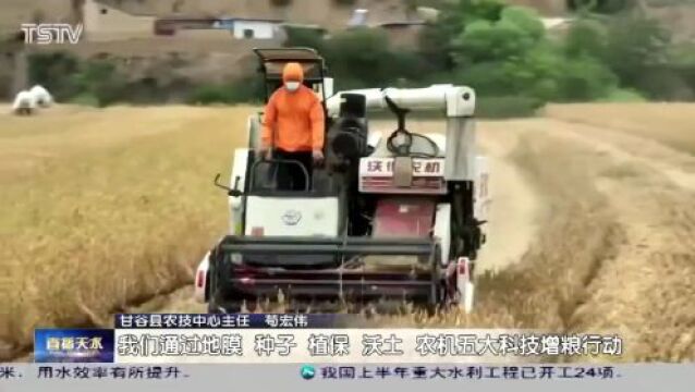 夏粮再丰收!天水市193万多亩冬小麦加速收割