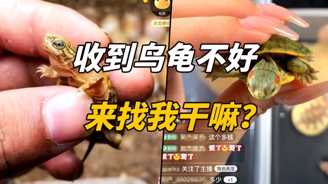 遇到乌龟奸商,用魔法打败魔法!