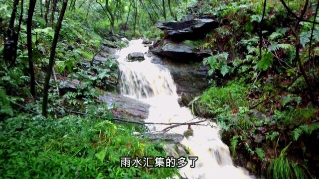 梅雨季节,山景水景如仙境