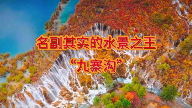 被誉为“水景之王、童话世界、人间天堂”的九寨沟,世界顶级自然杰作