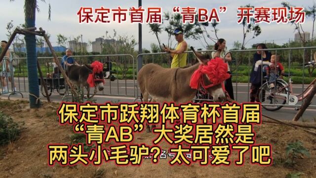 你绝对想不到,保定跃翔体育杯首届“青BA”大奖居然是两头小毛驴