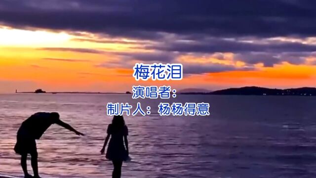 梅花泪:绽放在寒冷中的美丽