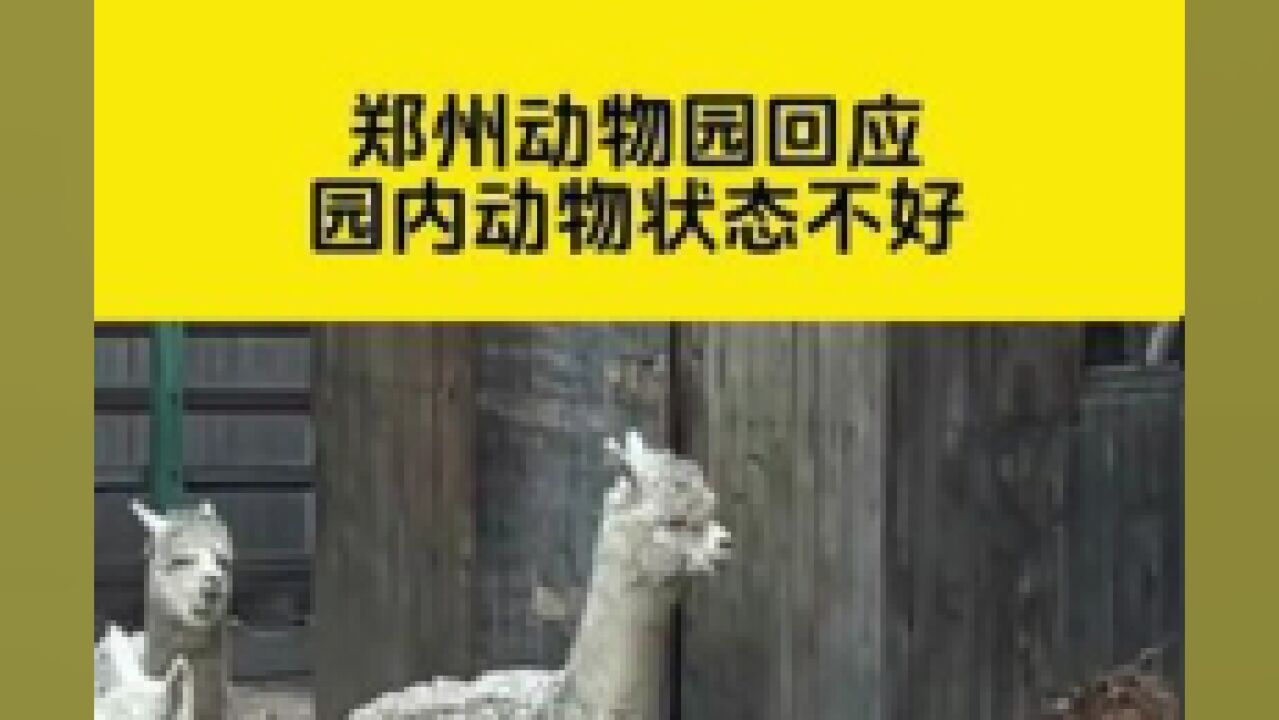 网友吐槽郑州动物园内动物整体状态差,动物园回应:断章取义