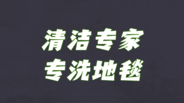 尽享清洁专家的超净地毯!