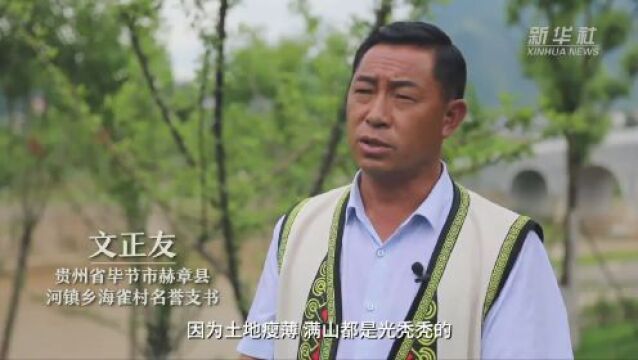 逐“绿”前行,看贵州发展之变——写在2023年生态文明贵阳国际论坛开幕之际