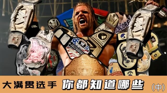 WWE大满贯选手,你都知道哪些?(中)