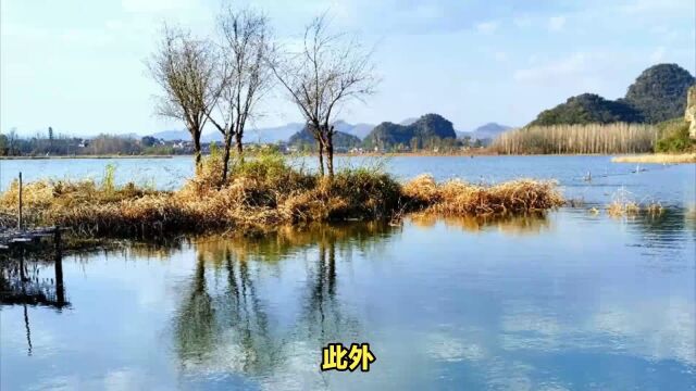 探索中国美丽旅游目的地—普者黑