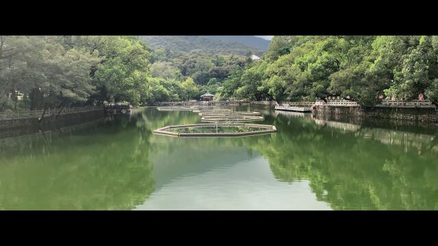 灯塔工程•三下乡|《探寻ⷤ𜠦‰🣀‹罗浮山百草油