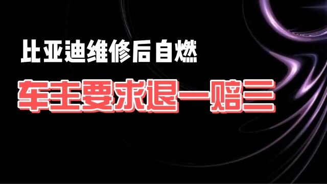 比亚迪维修后自燃 车主要求退一赔三