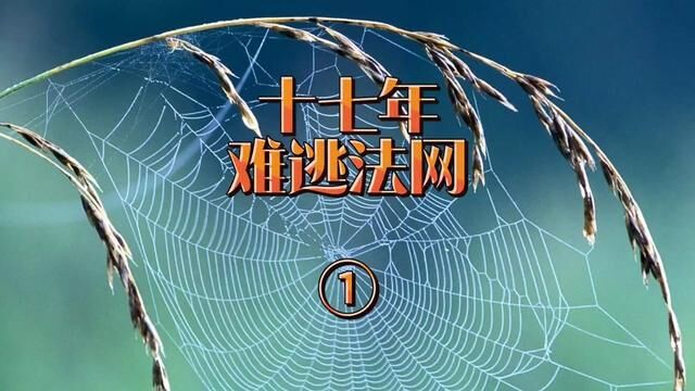 十七年难逃法网① 湖北省广水市→2003年4月10日#大案要案侦破纪实