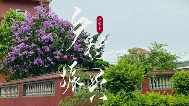 【三坑村】】助力乡村振兴,建设美丽乡村