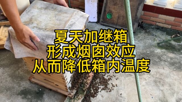 夏天给阳台上的蜂箱加个继箱形成烟囱效应就能有效降低箱内的温度