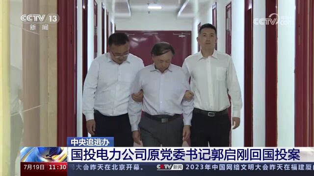 中央追逃办 国投电力公司原党委书记郭启刚回国投案