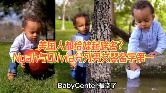 美国人都给娃起啥名?Noah与Olivia分列男女婴名字第一