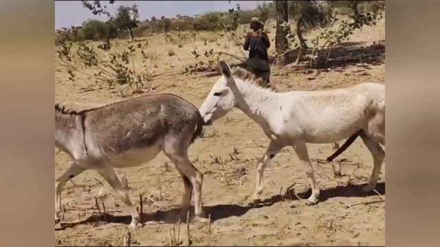 动物园之旅