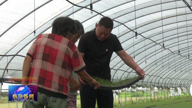 【临泉荣光 最美人物事迹展播】退役不褪色——优秀退役军人刘军