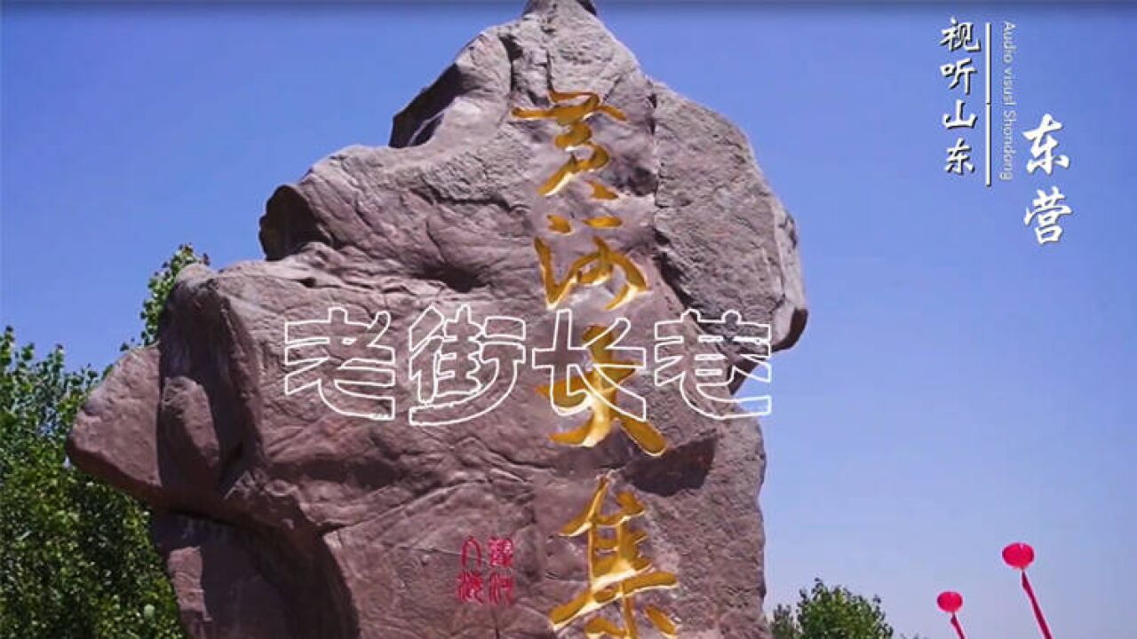 Explore Shandong: Lijin showcases its intangible cultural heritages on one street