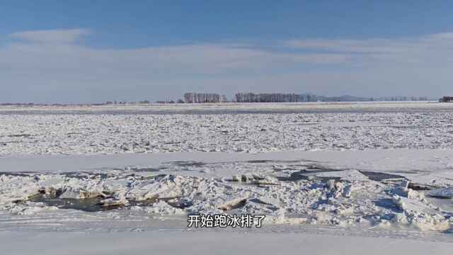 东北下大雪啦,美丽的松花江没渔船捕鱼,开始跑冰排,景色真壮观