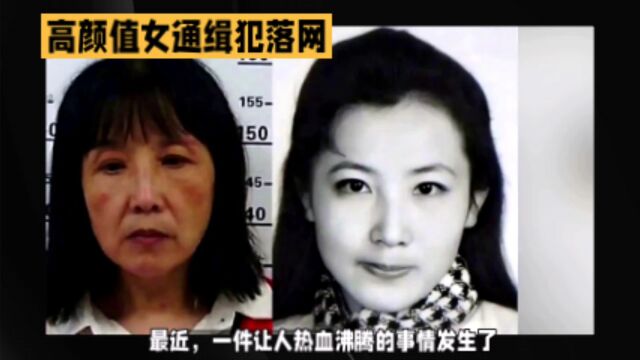 法网恢恢疏而不漏高颜值女通缉犯落网