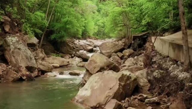 听着清脆的鸟鸣声,欣赏着大自然的绿水青山,享受片刻的宁静