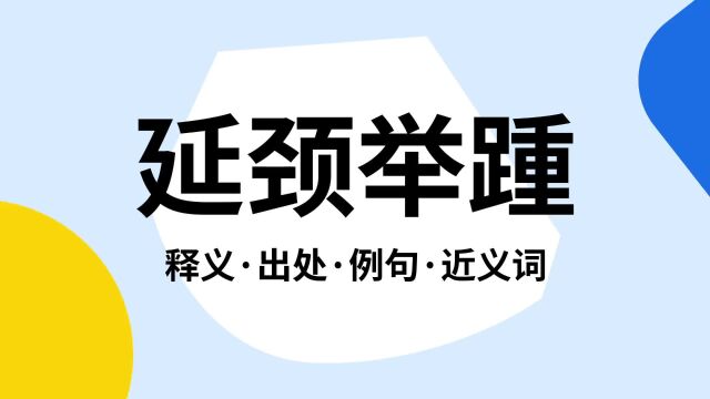 “延颈举踵”是什么意思?