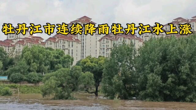 牡丹江市连续降雨牡丹江水上涨