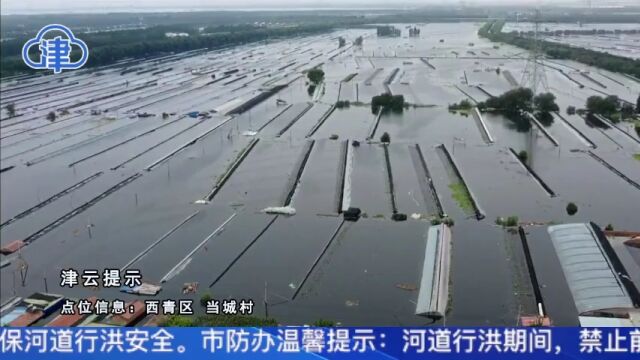 西青区东淀蓄滞洪区里是什么情况?受灾情况如何?津云记者带来一线报道